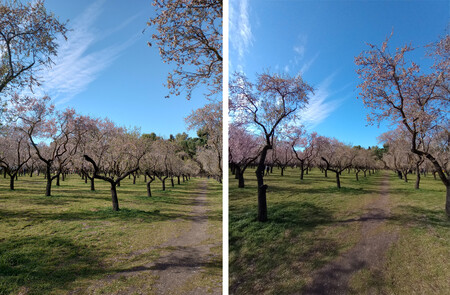 Moto G31 Gran Angular