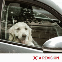 El aviso definitivo del Gobierno: dejar al perro dentro del coche te puede costar una multa histórica de 200.000 euros