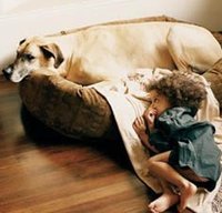 Los perros protegen a los niños de las alergias