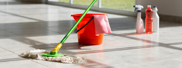 Lidl ha rebajado la mopa Vileda que supera a la fregona en eficacia y es apta para todo tipo de suelos