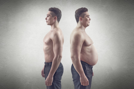 Lo que la ciencia nos dice sobre por qué recuperamos el peso meses después de la dieta