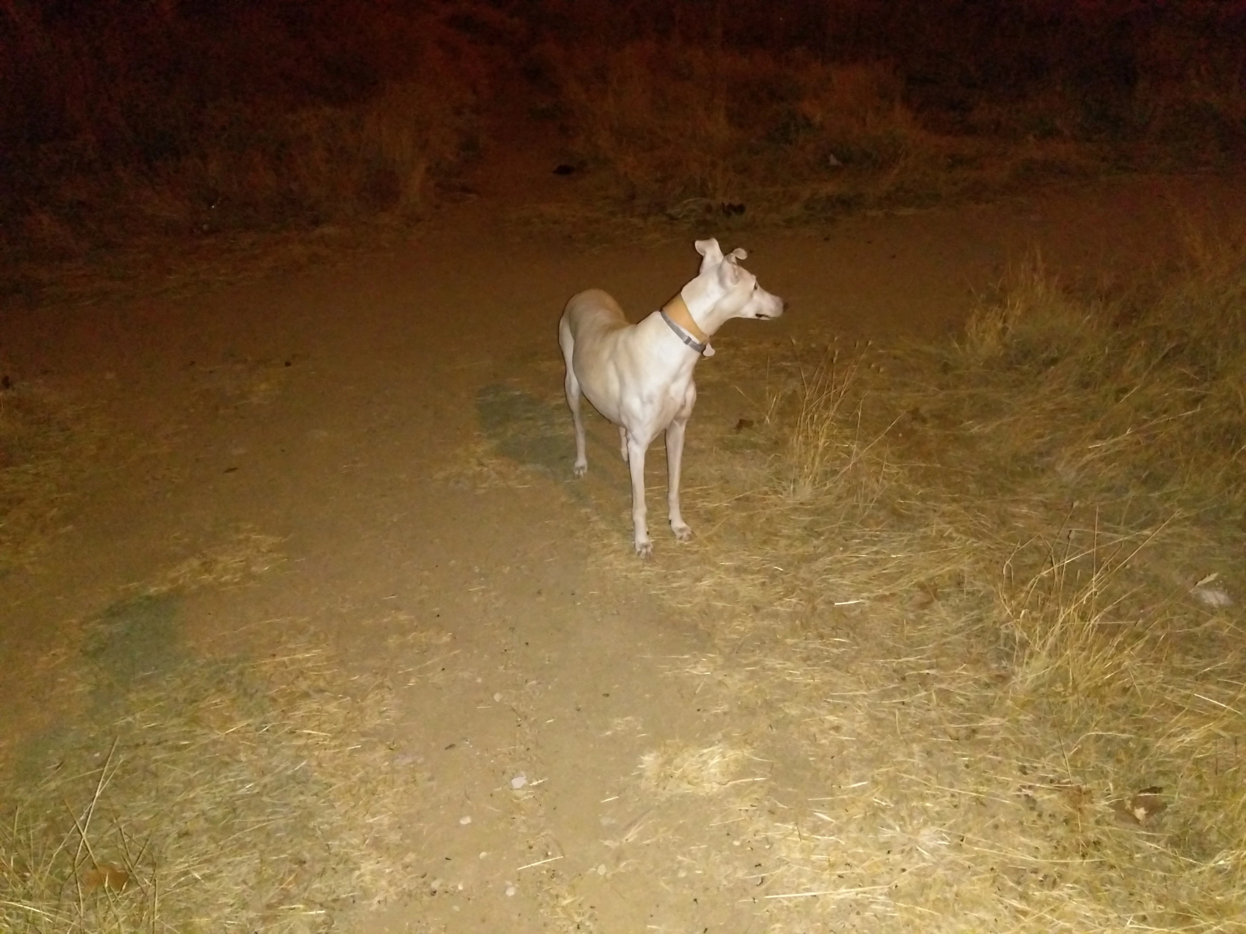 Foto de Fotos Moto G4 Play (9/9)