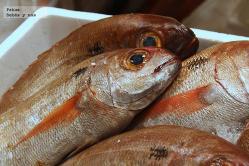 ¿Están nuestros niños más expuestos al mercurio que los del resto de Europa?