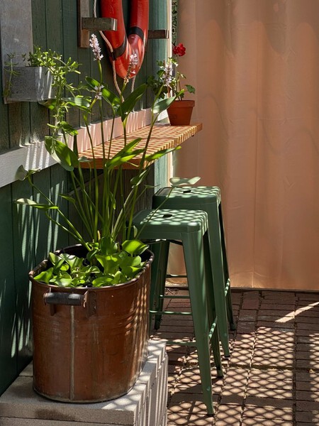 Reforma patio