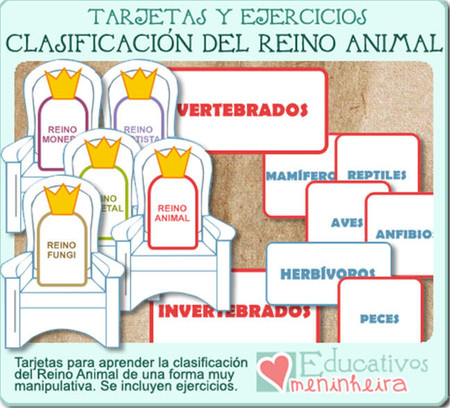 Con estos materiales tus hijos pueden aprender manipulando todo lo relacionado con el Reino Animal