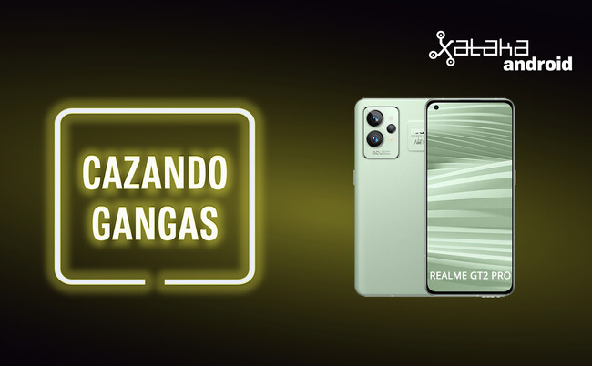 Cazando Gangas