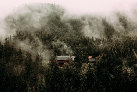 Pexels Rachel Claire 4992598