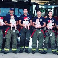 La paternidad también es contagiosa: siete bomberos han sido padres de siete bebés en 14 meses 