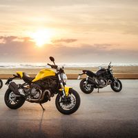 Ducati Monster 821, la hermana menor hereda los juguetes de la 1200