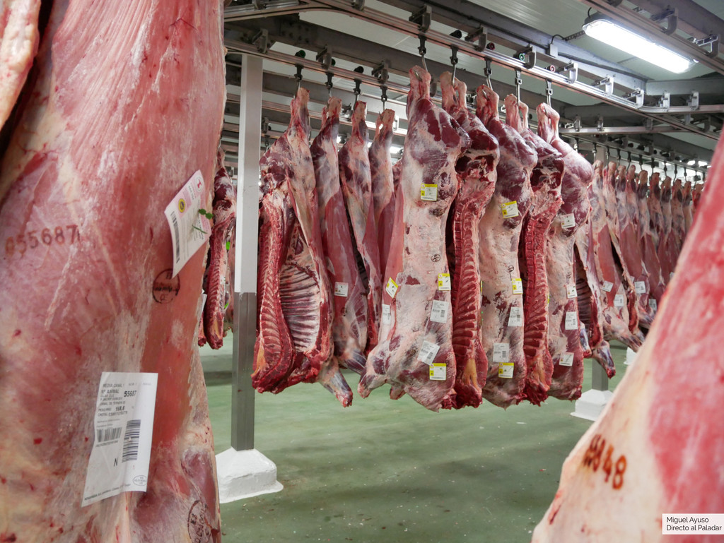 Un polémico estudio asegura que podemos seguir comiendo carne roja, pero ¿debemos creerlo?