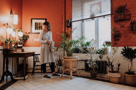 Plantas En Casa