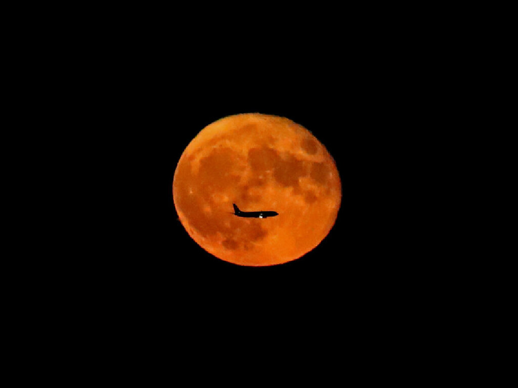 “Lua do Veado” proporcionará um espetáculo nesta quinta-feira  