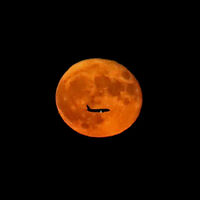 “Lua do Veado” proporcionará um espetáculo nesta quinta-feira  