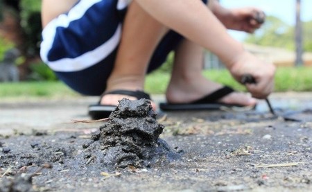 Las tres bases del aprendizaje de tu hijo: el error