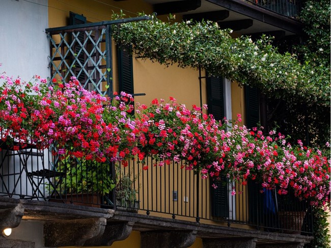 Copia De Plantilla 1200x900 45