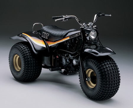 Vehiculos De Tres Ruedas Prohibidos Por La Ley006