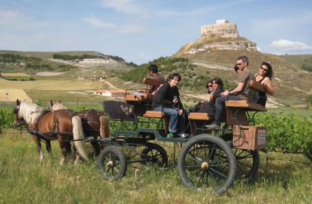 34 Museos del Vino en España, para el Día Europeo del Enoturismo