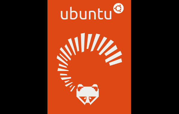 Ubuntu 13.04 artwork