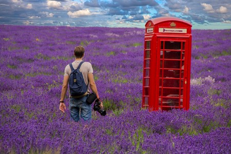 Los Romanticos Campos De Lavanda De Mayfield Lavender Farm