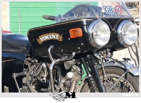 Vincent Black Prince, Vinny long legs