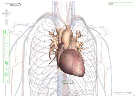 El proyecto Google Body vuelve como Zygote Body