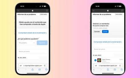 Web サイト reportaproblem.apple.com のスクリーンショット