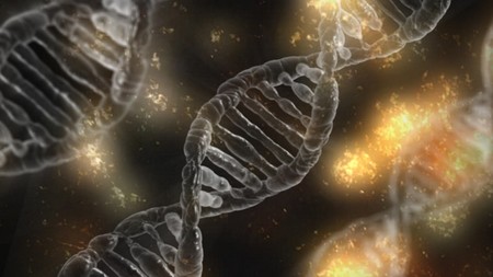 ¿Hay genes que no mueren cuando nosotros morimos?