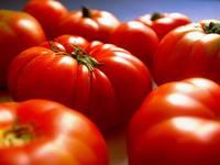 I+D+i, con sabor a puchero