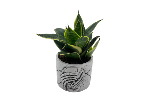 Gcp56e2e665ea894a359fc9f636150c78bc