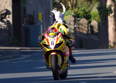 Ian Hutchinson gaviota Isla de Man Tourist Trophy