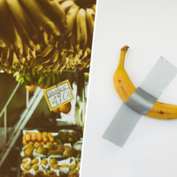 El plátano de Canarias está muerto y no lo sabe: España es un gigante agrícola con los pies de barro 