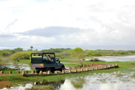 Safari fotográfico en el Parque Nacional Bundala de Sri Lanka