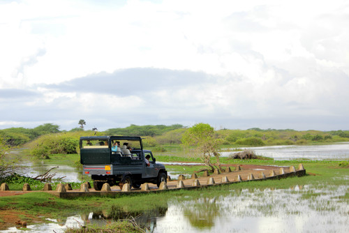 Safari fotográfico en el Parque Nacional Bundala de Sri Lanka