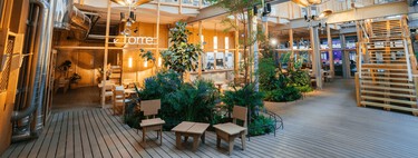 Ni de niños ni de perros: Madrid estrena guardería de plantas gratis para que te las cuiden durante tus vacaciones de verano