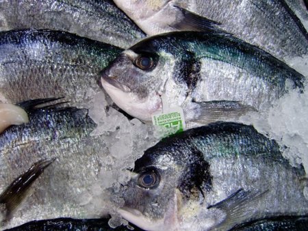 El colesterol de los pescados