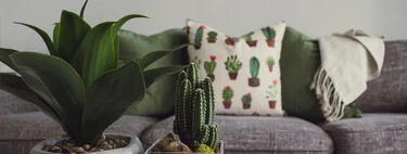 Sofá en liquidación: se convierte en cama, aprovecha el espacio y amplía el almacenaje