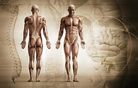¿Estamos dotados de memoria muscular?