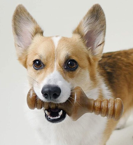 Benebone Zaggler Foto