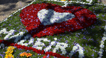 Festa Da Flor 5