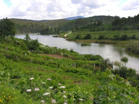 1024px Rio Umia Dende Paradivas Caldas De Reis Galiza