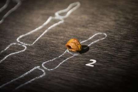 La paleogenética sugiere que los parientes con quien nos cruzamos, los denisovanos, en realidad son dos especies de homínidos