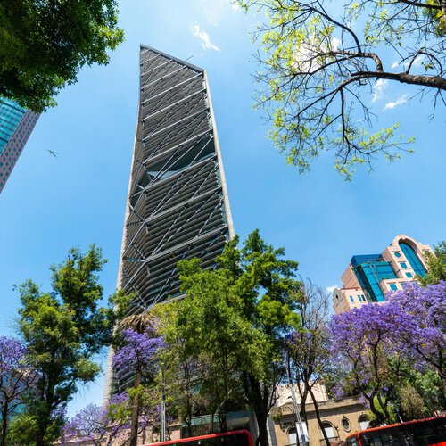 Qué hacer el último fin de semana de febrero en CDMX: 5 experiencias que no puedes dejar pasar este 28 de febrero y 1 de marzo