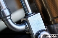 Adivina que va a probar Morrillu esta semana (15)