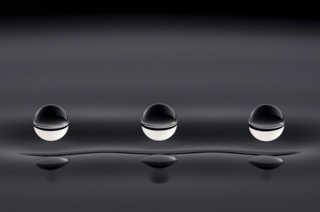 Estan son las llamativas imágenes científicas premiadas por el certamen Royal Society Publishing Photography Competition 2019