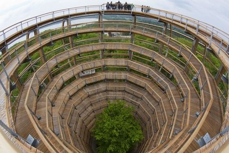 La larga pasarela en espiral que serpentea a través del bosque y alrededor de un haya de cobre en el centro que hay en Alemania