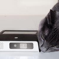 Odin2, un proyector LED con pantalla táctil y Android 6.0 para compartir los contenidos del móvil a lo grande 