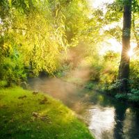 Celebra San Valentín en Giverny, el jardín más romántico de Francia