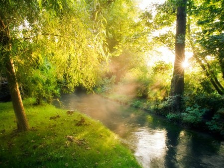 Celebra San Valentín en Giverny, el jardín más romántico de Francia