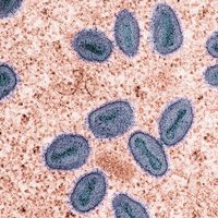 Não é a Covid: cientistas emitem alerta sobre 3 vírus silenciosos que já estão entre nós e ameaçam 2026