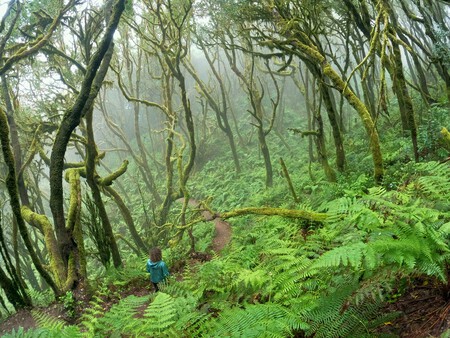 Escapada Bosque Senderismo Invierno Bonito Finde Buen Tiempo